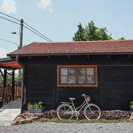 Studio Apartment Romeo Velika Gorica Exterior photo